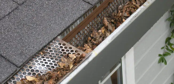 Les gouttières : des éléments indispensables pour votre maison